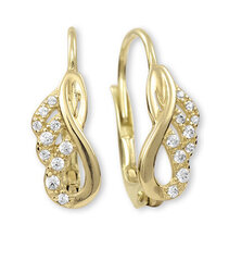 Kuldsed kõrvarõngad selgete kristallidega naistele Brilio sBR1961 hind ja info | Kõrvarõngad | hansapost.ee