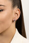 Hõbedased kõrvarõngad naistele Brilio Silver EA204W sBS1163 hind ja info | Kõrvarõngad | hansapost.ee