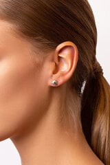 Kõrvarõngad naistele Brilio Silver EA103R sBS1299 hind ja info | Kõrvarõngad | hansapost.ee