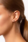 Hõbedased kõrvarõngad naistele Brilio Silver EA104W sBS1301 hind ja info | Kõrvarõngad | hansapost.ee