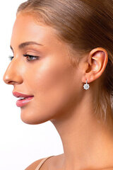 Hõbedased kõrvarõngad naistele Brilio Silver EA119W sBS1348 hind ja info | Kõrvarõngad | hansapost.ee