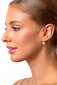 Hõbedased kõrvarõngad naistele Brilio Silver EA120W sBS1349 цена и информация | Kõrvarõngad | hansapost.ee