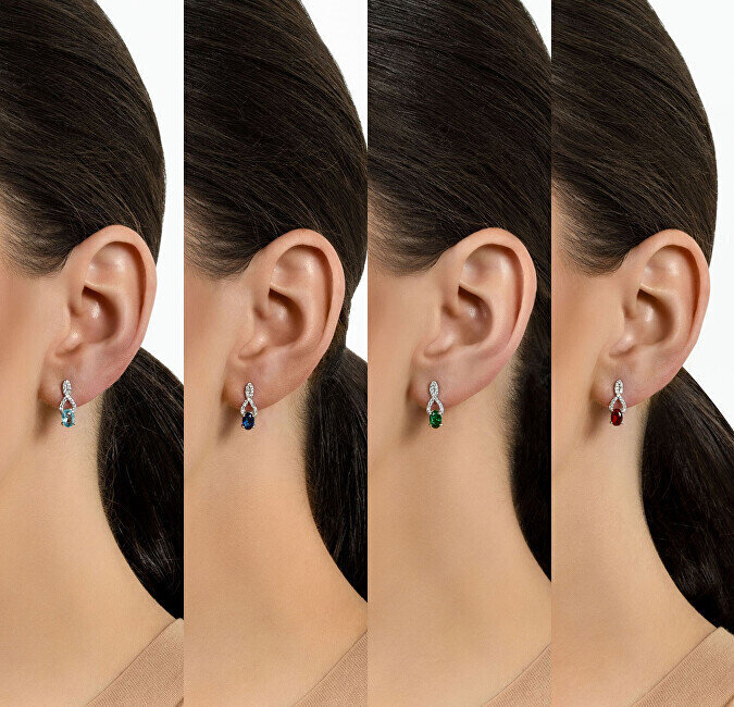 Hõbedased kõrvarõngad naistele Brilio Silver EA293DPW sBS1448 цена и информация | Kõrvarõngad | hansapost.ee