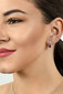 Hõbedased kõrvarõngad naistele Brilio Silver EA293DPW sBS1448 цена и информация | Kõrvarõngad | hansapost.ee