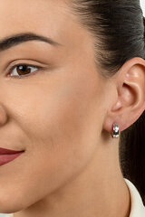 Kõrvarõngad naistele Brilio Silver EA501R sBS1819 hind ja info | Kõrvarõngad | hansapost.ee