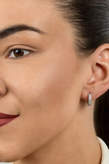 Kõrvarõngad naistele Brilio Silver EA502Y sBS1821 hind ja info | Kõrvarõngad | hansapost.ee