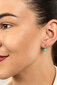 Hõbedased kõrvarõngad naistele Brilio Silver EA370WG sBS1882 hind ja info | Kõrvarõngad | hansapost.ee