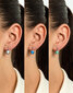 Hõbedased kõrvarõngad naistele Brilio Silver EA376WB sBS1891 hind ja info | Kõrvarõngad | hansapost.ee