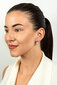 Hõbedased kõrvarõngad naistele Brilio Silver EA384W sBS1900 hind ja info | Kõrvarõngad | hansapost.ee