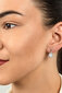Hõbedased kõrvarõngad naistele Brilio Silver EA392W sBS1909 цена и информация | Kõrvarõngad | hansapost.ee