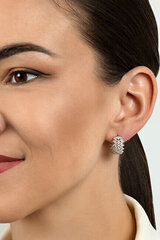 Kullatud kõrvarõngad tsirkooniumiga naistele Brilio Silver EA479Y sBS2051 hind ja info | Kõrvarõngad | hansapost.ee