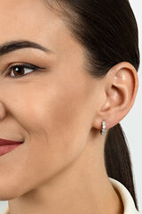 Kullatud kõrvarõngad tsirkooniumiga naistele Brilio Silver EA481YB sBS2063 hind ja info | Kõrvarõngad | hansapost.ee