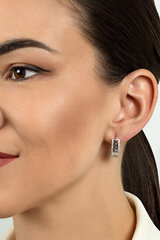 Kullatud kõrvarõngad tsirkooniumiga naistele Brilio Silver EA482Y sBS2068 hind ja info | Kõrvarõngad | hansapost.ee