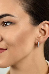 Kõrvarõngad tsirkooniumiga naistele Brilio Silver EA483R sBS2069 hind ja info | Kõrvarõngad | hansapost.ee