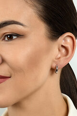 Hõbedased kõrvarõngad naistele Brilio Silver EA486W sBS2077 hind ja info | Kõrvarõngad | hansapost.ee