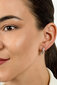 Kullatud kõrvarõngad tsirkooniumiga naistele Brilio Silver EA532Y sBS2100 hind ja info | Kõrvarõngad | hansapost.ee