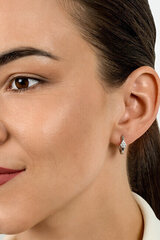 Kullatud kõrvarõngad tsirkooniumiga naistele Brilio Silver EA533Y sBS2103 hind ja info | Kõrvarõngad | hansapost.ee