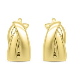 Brilio Silver Модные позолоченные серьги с подвесками EA534Y sBS2106 цена и информация | Серьги Skagen  | hansapost.ee