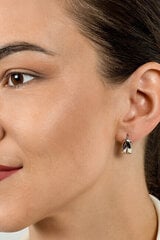 Kullatud kõrvarõngad naistele Brilio Silver EA534Y sBS2106 hind ja info | Kõrvarõngad | hansapost.ee