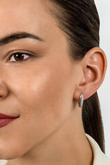 Kõrvarõngad tsirkooniumiga naistele Brilio Silver EA539R sBS2108 hind ja info | Kõrvarõngad | hansapost.ee