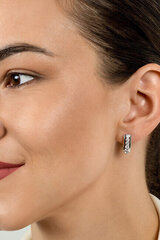 Kullatud kõrvarõngad tsirkooniumiga naistele Brilio Silver EA543YB sBS2120 hind ja info | Kõrvarõngad | hansapost.ee