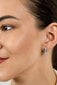 Kullatud kõrvarõngad tsirkooniumiga naistele Brilio Silver EA543YR sBS2121 цена и информация | Kõrvarõngad | hansapost.ee