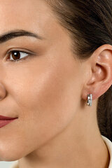 Hõbedased kõrvarõngad naistele Brilio Silver EA549Y sBS2127 hind ja info | Kõrvarõngad | hansapost.ee