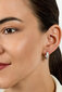 Hõbedased kõrvarõngad naistele Brilio Silver EA553W sBS2136 hind ja info | Kõrvarõngad | hansapost.ee
