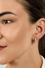 Hõbedased kõrvarõngad naistele Brilio Silver EA556W sBS2138 hind ja info | Kõrvarõngad | hansapost.ee