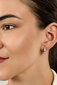 Hõbedased kõrvarõngad naistele Brilio Silver EA556W sBS2138 цена и информация | Kõrvarõngad | hansapost.ee