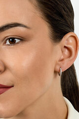 Kullatud kõrvarõngad tsirkooniumiga naistele Brilio Silver EA560Y sBS2151 цена и информация | Серьги | hansapost.ee