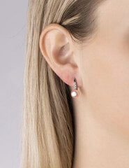 Hõbedased kõrvarõngad naistele Silvego LPSP0639P sSL3850 hind ja info | Kõrvarõngad | hansapost.ee