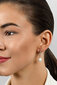 Hõbedased kõrvarõngad naistele Brilio Silver EA652W sBS2380 цена и информация | Kõrvarõngad | hansapost.ee