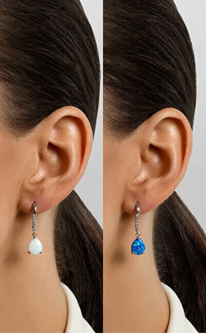 Hõbedased kõrvarõngad naistele Brilio Silver EA652W sBS2380 hind ja info | Kõrvarõngad | hansapost.ee