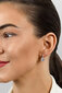 Tsirkooniga hõbekõrvarõngad naistele Brilio Silver EA670W sBS2408 hind ja info | Kõrvarõngad | hansapost.ee