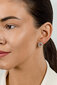 Hõbedased kõrvarõngad naistele Brilio Silver EA593Y sBS2418 цена и информация | Kõrvarõngad | hansapost.ee