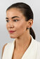 Kullatud kõrvarõngad naistele Brilio Silver EA673Y sBS2424 hind ja info | Kõrvarõngad | hansapost.ee