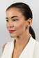 Hõbedased kõrvarõngad naistele Brilio Silver EA681WB sBS2446 цена и информация | Kõrvarõngad | hansapost.ee