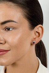 Hõbedased kõrvarõngad naistele Brilio Silver EA578WR sBS2468 hind ja info | Kõrvarõngad | hansapost.ee