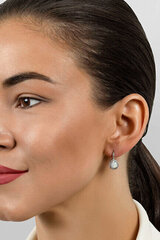 Hõbedased kõrvarõngad naistele Brilio Silver EA636W sBS2492 hind ja info | Kõrvarõngad | hansapost.ee
