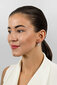 Hõbedased kõrvarõngad naistele Brilio Silver EA636W sBS2492 цена и информация | Kõrvarõngad | hansapost.ee