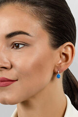 Hõbedased kõrvarõngad naistele Brilio Silver EA636WB sBS2494 hind ja info | Kõrvarõngad | hansapost.ee