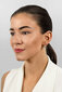 Kõrvarõngad tsirkooniumiga naistele Brilio Silver EA671R sBS2517 hind ja info | Kõrvarõngad | hansapost.ee