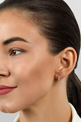 Kullatud kõrvarõngad tsirkooniumiga naistele Brilio Silver EA683Y sBS2546 hind ja info | Kõrvarõngad | hansapost.ee