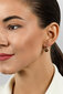 Hõbedased kõrvarõngad naistele Brilio Silver EA681WBC sBS2657 hind ja info | Kõrvarõngad | hansapost.ee