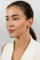 Tsirkooniga hõbekõrvarõngad naistele Brilio Silver EA655W sBS2673 цена и информация | Kõrvarõngad | hansapost.ee