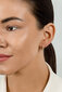 Kullatud kõrvarõngad tsirkooniumiga naistele Brilio Silver EA660Y sBS2679 цена и информация | Kõrvarõngad | hansapost.ee