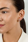 Kõrvarõngad tsirkooniumiga naistele Brilio Silver EA604R sBS2778 цена и информация | Kõrvarõngad | hansapost.ee
