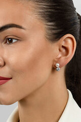 Hõbedased kõrvarõngad naistele Brilio Silver EA611W sBS2807 hind ja info | Kõrvarõngad | hansapost.ee