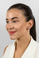 Hõbedased kõrvarõngad naistele Brilio Silver EA613W sBS2810 hind ja info | Kõrvarõngad | hansapost.ee